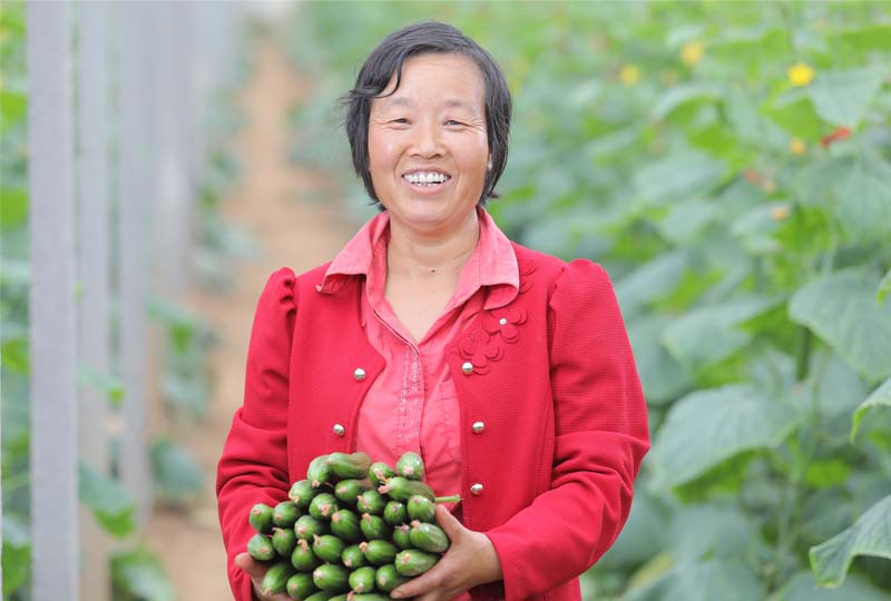 脱贫攻坚促中国农业成为世界典范 一一信念集团的信念(2)